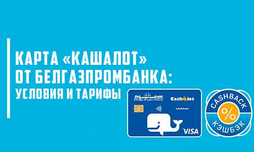 Условия, тарифы и магазины-партнеры карты «Кашалот» от Белгазпромбанка