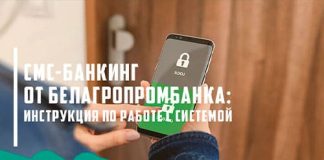 SMS-банкинг в Белагропромбанке на телефоне: подключение через интернет, список команд и возможности